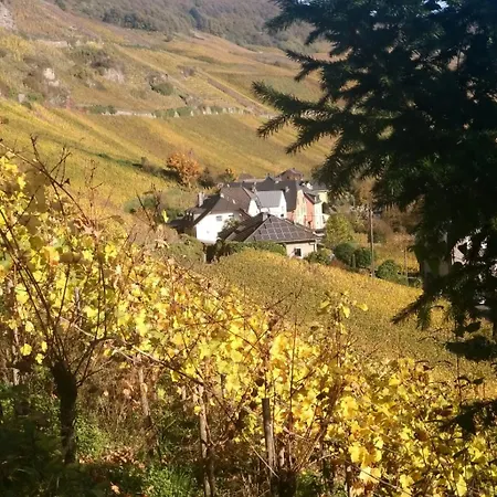 Apartment Haus Der Weinkönigin Kristina Piesport