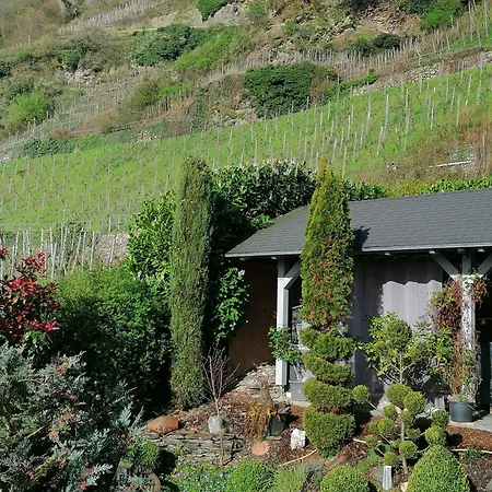 Haus Der Weinkoenigin Kristina Apartamento Piesport