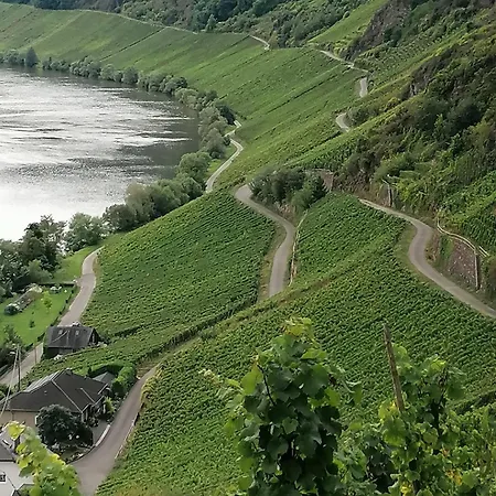 Haus Der Weinkoenigin Kristina * Piesport