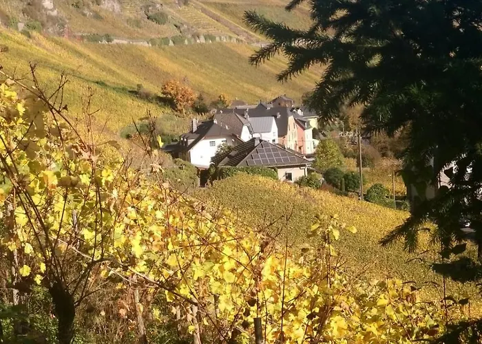 Apartamento Haus Der Weinkoenigin Kristina Piesport