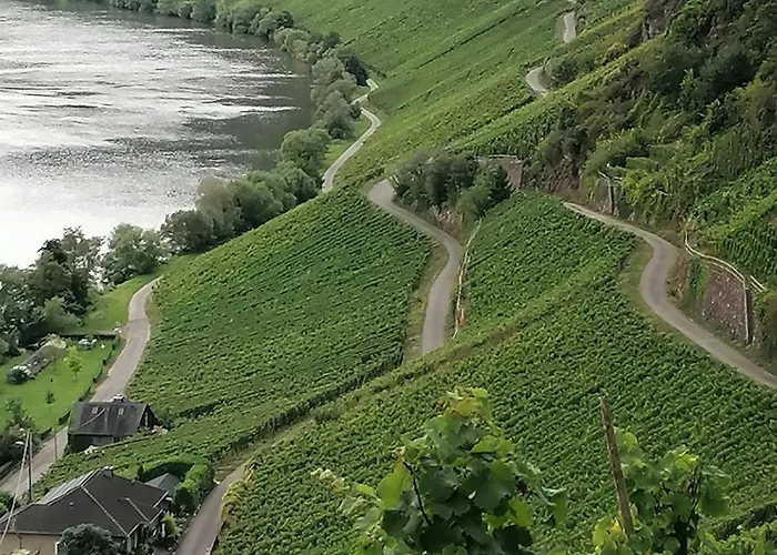 Haus Der Weinkoenigin Kristina * פיספורט