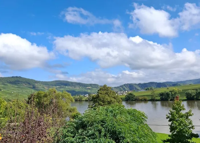 Haus Der Weinkoenigin Kristina דירה *